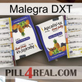 Malegra DXT 12